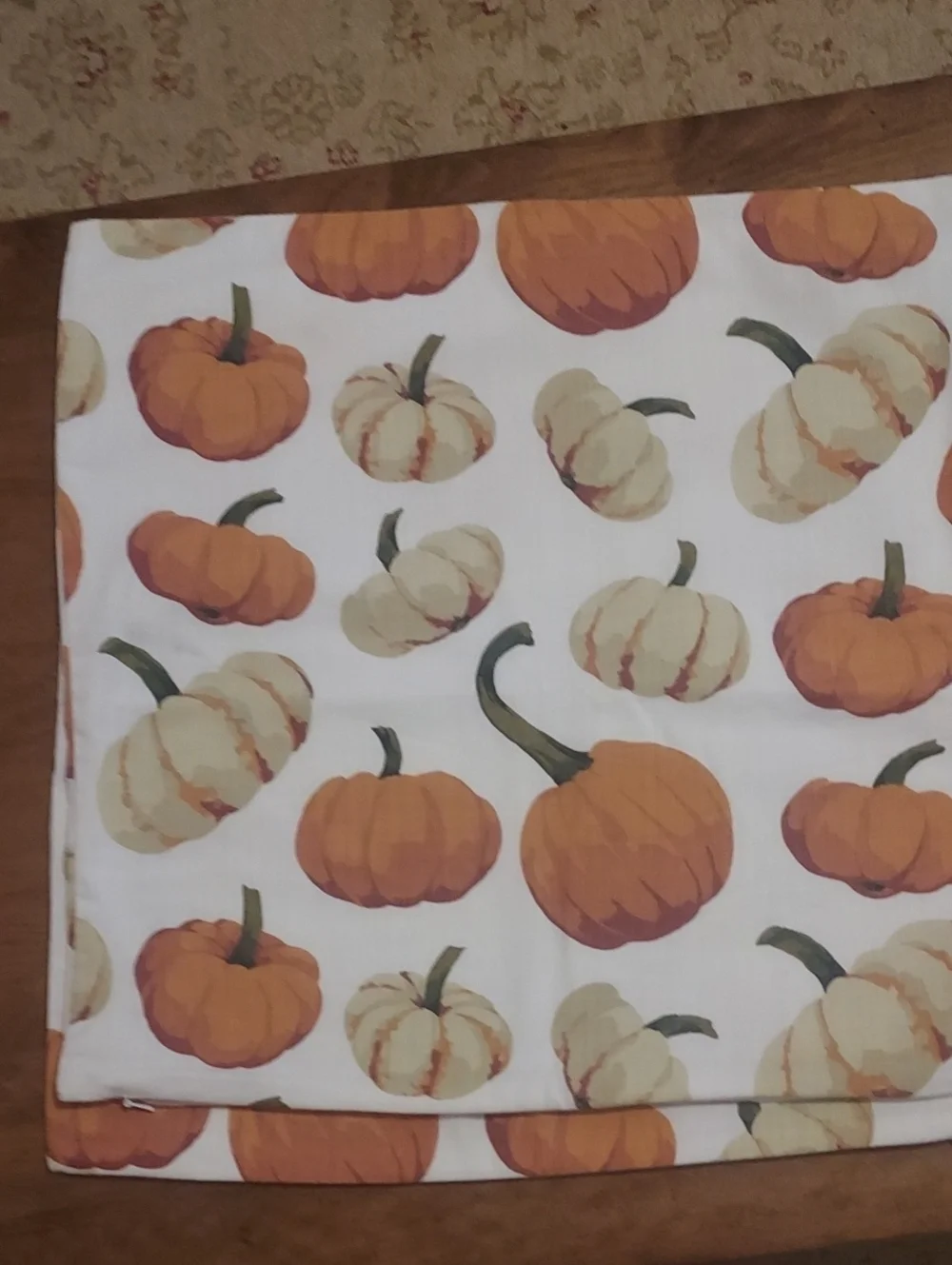Set Of 2Pottery Barn Throw Pilows Covers Set Of 2